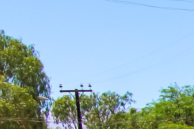 Dodge Dakota tuvo grandes ventas hace años.