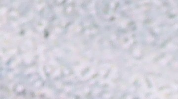 duplicado del título de auto