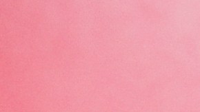 Los aditivos para gasolina se deben echar cuando se cargue el tanque.