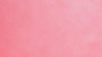 Los aditivos para gasolina se deben echar cuando se cargue el tanque.