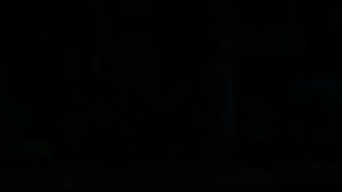 Ferrari 250 GTO de 1962 chasis 3729GT fue restaurado para tener su color original.