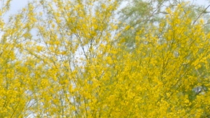 Cruise, la división de conducción autónoma de GM en Arizona