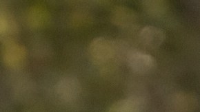 Ford Fiesta es uno de los autos más vendidos de Ford.