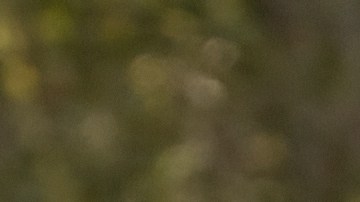 Ford Fiesta es uno de los autos más vendidos de Ford.