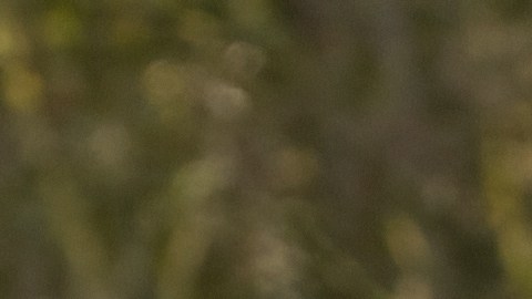 Ford Fiesta es uno de los autos más vendidos de Ford.