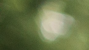 Hombres caucásicos jóvenes guapos limpiando su parabrisas de auto con manguera de esponja verde y espuma de jabón al aire libre en el servicio de lavado de autos