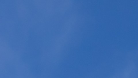 Honda es una de las líderes mundiales de ventas de autos.