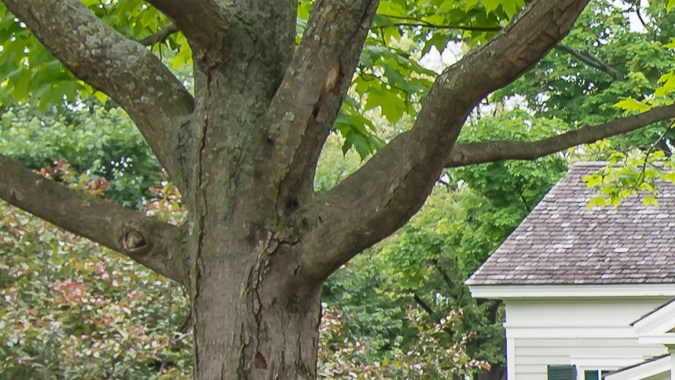 Hudson Cars fabricó autos hasta 1954.