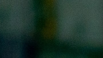 inspección ambiental de automóviles