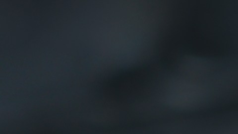 inspección vehicular en DMV