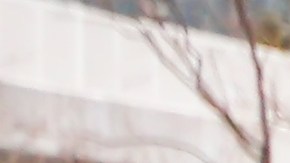 Los kei cars se venden solo en Japón.