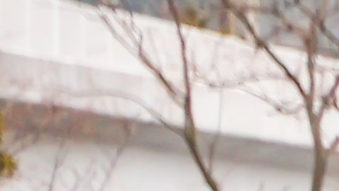 Los kei cars se venden solo en Japón.