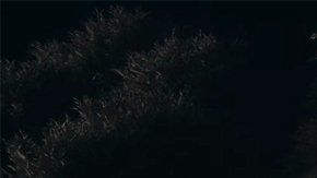 Kia Concept 2026 será revelado en enero de 2026.