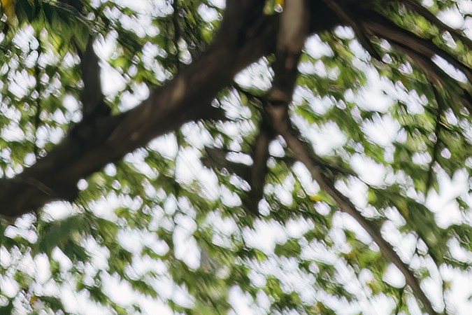 licencia de conducir luego de mudanza