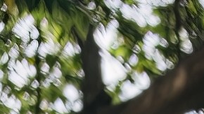 licencia de conducir luego de mudanza