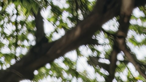 licencia de conducir luego de mudanza