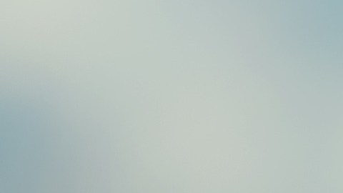 conducir con licencia vencida