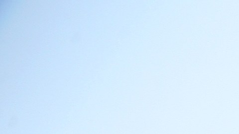 licencia para conducir food truck