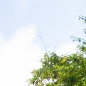 licencia para manejar vehículos ajenos