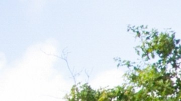 licencia para manejar vehículos ajenos