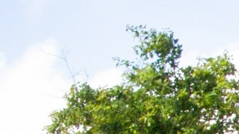 licencia para manejar vehículos ajenos