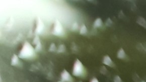 Mano sosteniendo el volante mientras conduce bajo la lluvia. Viaje en la carretera con velocidad en un día lluvioso. Manos de una persona sosteniendo un volante bajo una fuerte lluvia, conductor de auto bajo el aguacero.