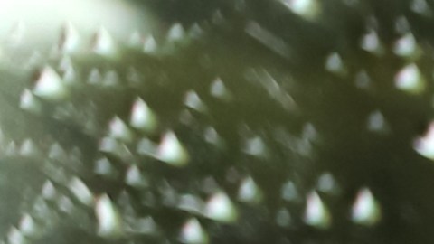 Mano sosteniendo el volante mientras conduce bajo la lluvia. Viaje en la carretera con velocidad en un día lluvioso. Manos de una persona sosteniendo un volante bajo una fuerte lluvia, conductor de auto bajo el aguacero.