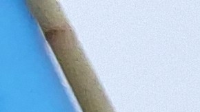 El Mazda EX-7 es uno de los autos disponibles para improtación a EEUU.