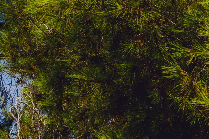 Mercedes-Benz GLB 2027 tiene una potencia de más de 300 caballos de fuerza.