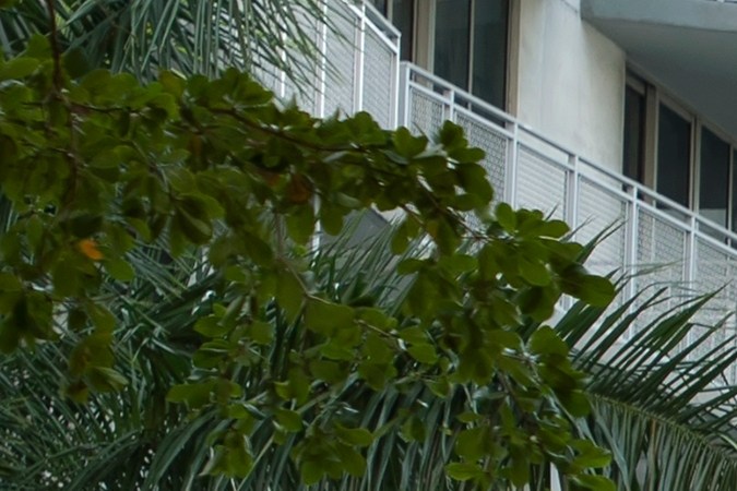 El tráfico urbano es uno de los más altos en los últimos años.