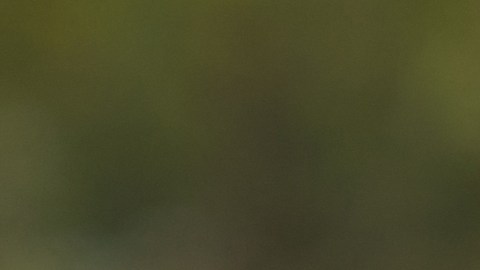 Conducir en Navidad es bastante riesgoso.