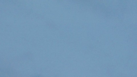 Nissan busca mejorar sus autos con ADN de carreras.