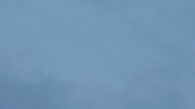 Nissan busca mejorar sus autos con ADN de carreras.