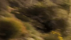 Nissan Sentra 2025 tiene un buen rendimiento en carretera.