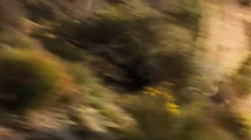 Nissan Sentra 2025 tiene un buen rendimiento en carretera.