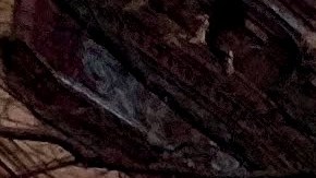 Calle residencial con casas cubiertas de nieve en Harlem, Nueva York, EE.UU.