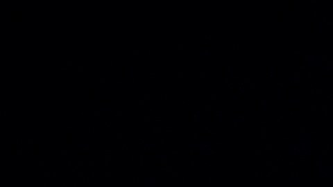 placas de auto vencidas en estados unidos