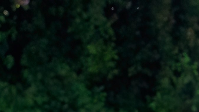 Porsche Boxster (986) 2001 es divertido de conducir.