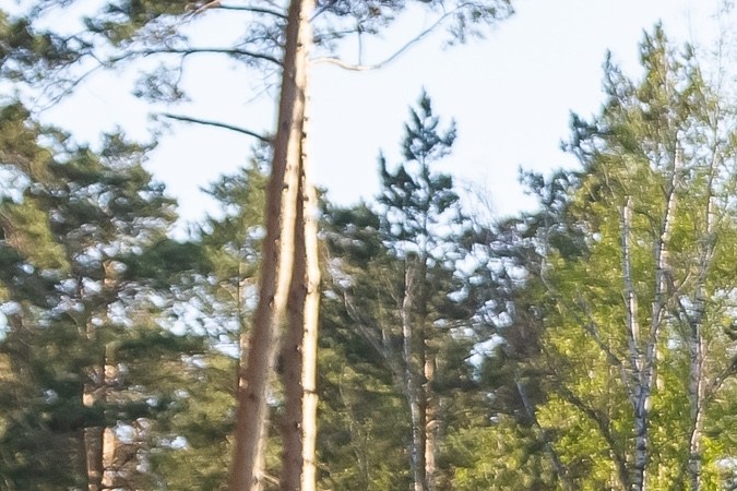 Ram Heavy Duty es de las mejores camionetas para trabajo.