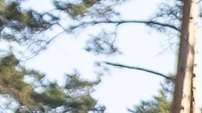 Ram Heavy Duty es de las mejores camionetas para trabajo.