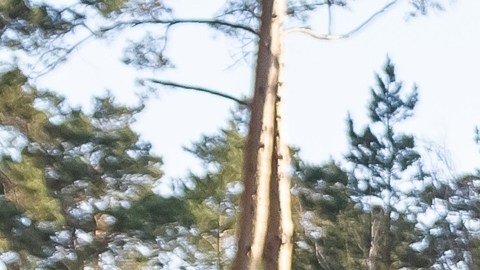 Ram Heavy Duty es de las mejores camionetas para trabajo.