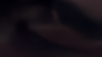 registro auto florida sin SSN