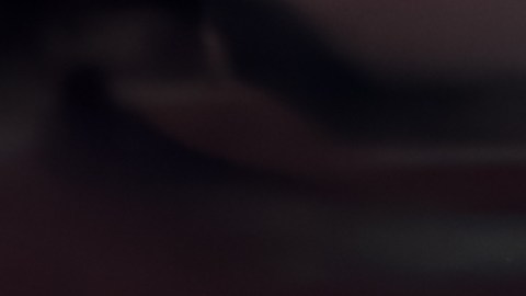 registro auto florida sin SSN