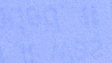 renovar registro en línea