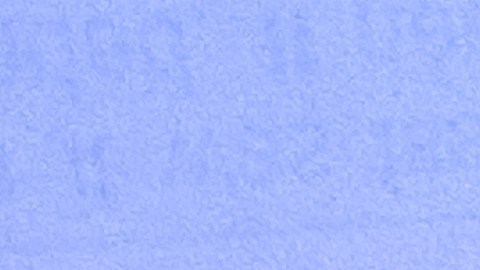 renovar registro en línea