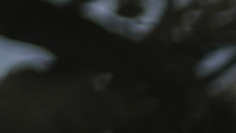 requisitos mínimos del seguro de auto