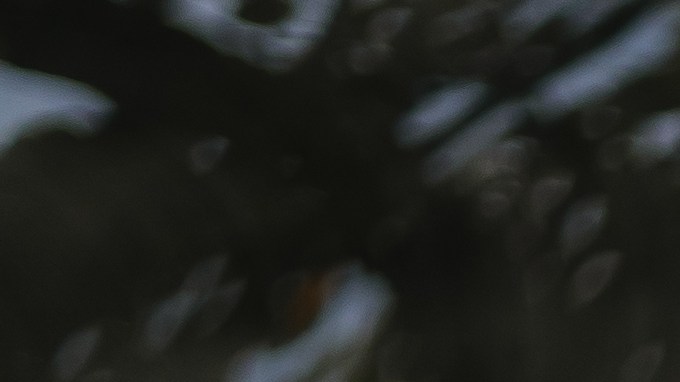 requisitos mínimos del seguro de auto