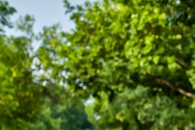 Studebaker vendió muchos autos antes de los años 60.