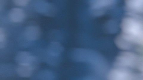 Coche que viaja en paisaje de invierno cubierto de nieve