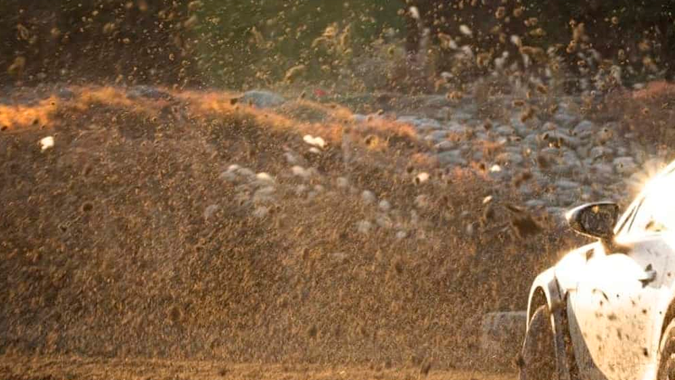 Toyota GR86 Outroad por Kuhl Racing tiene mejroas en motor.